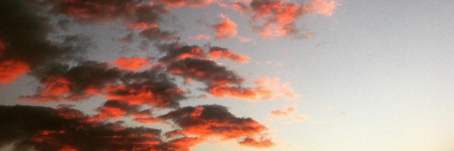 mongoosetacos's profile banner image