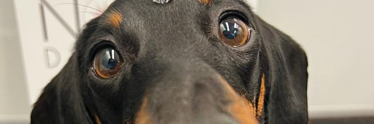 srara23's profile banner image