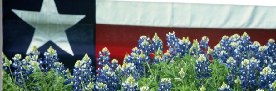 TEEITHIGH's profile banner image