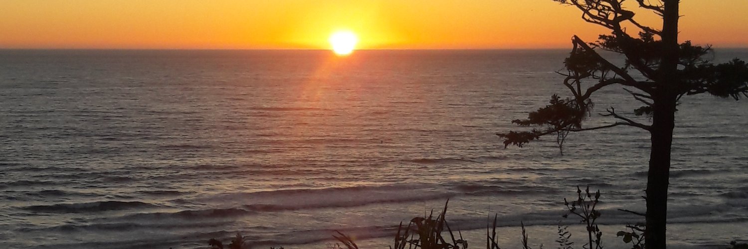 dougherty_45912's profile banner image