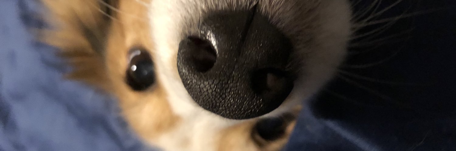 tashaOW's profile banner image