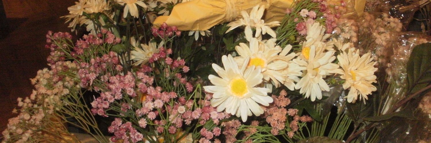 menisyong's profile banner image