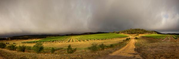 Taltarni Profile Banner