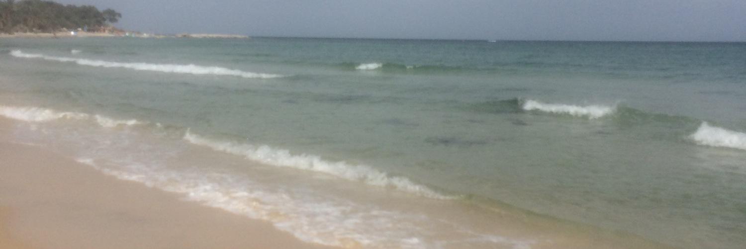 Ashley Webster banner