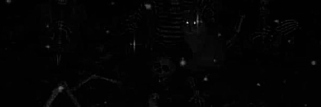 cutelittleskull's profile banner image