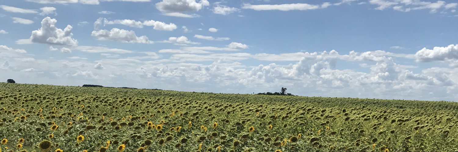 lmsofi's profile banner image