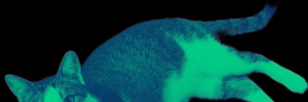 killy44's profile banner image