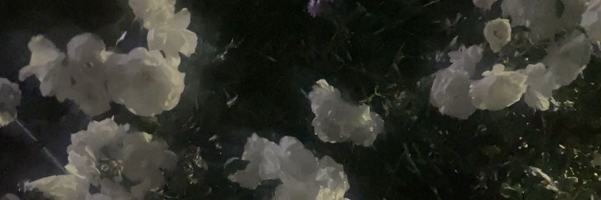 𝐾 banner
