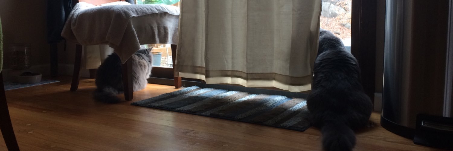 TheLizRichards's profile banner image