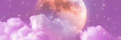 tanakunO5's profile banner image