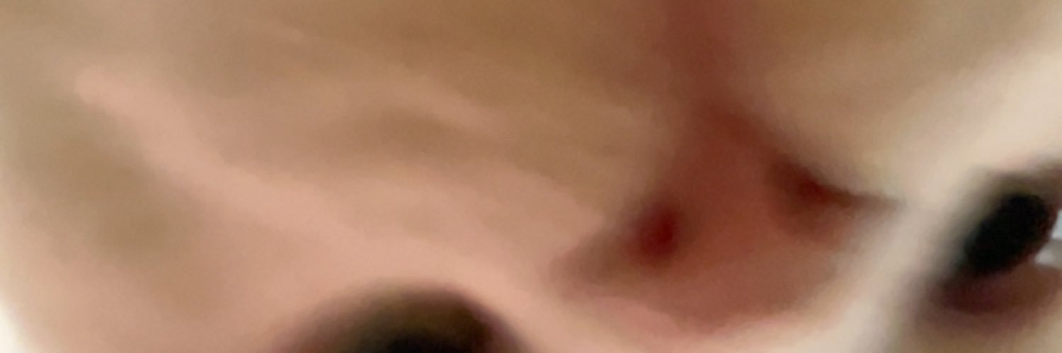 aysrhmn_'s profile banner image