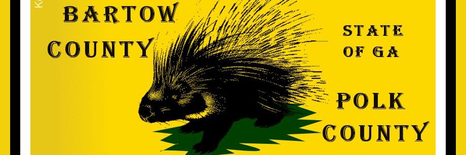 LPBPCGA's profile banner image