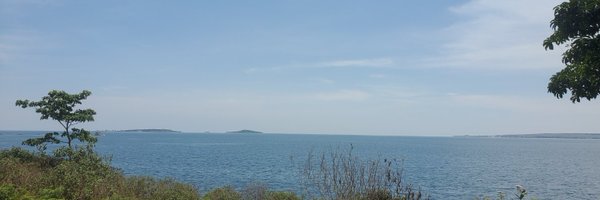 Stallionint_ Profile Banner