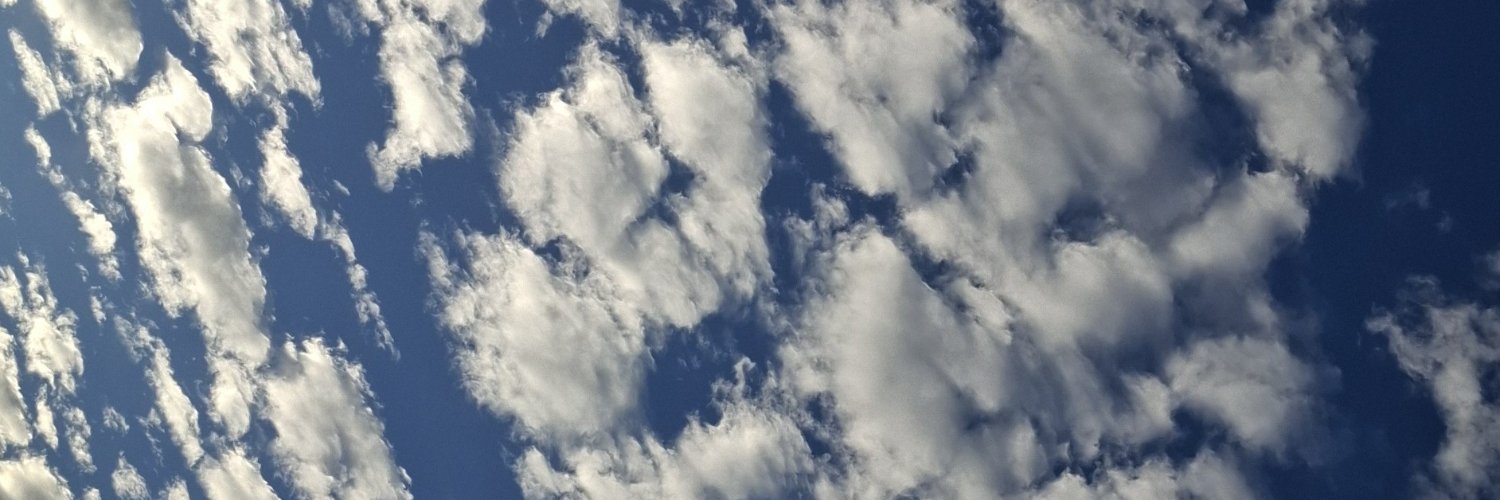 sweetestscape's profile banner image