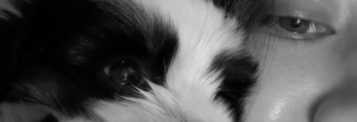 jennyycl's profile banner image