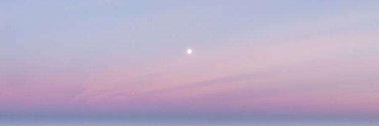 R ❤︎.* banner