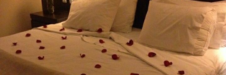 carmene123456's profile banner image