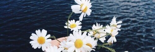 nanux___'s profile banner image