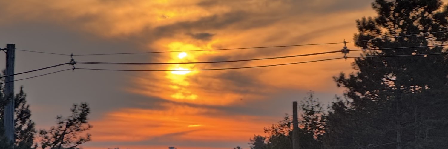 puttbuddiesgolf's profile banner image