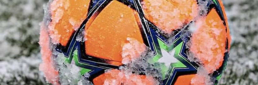 Sadjini Patrick Collins banner