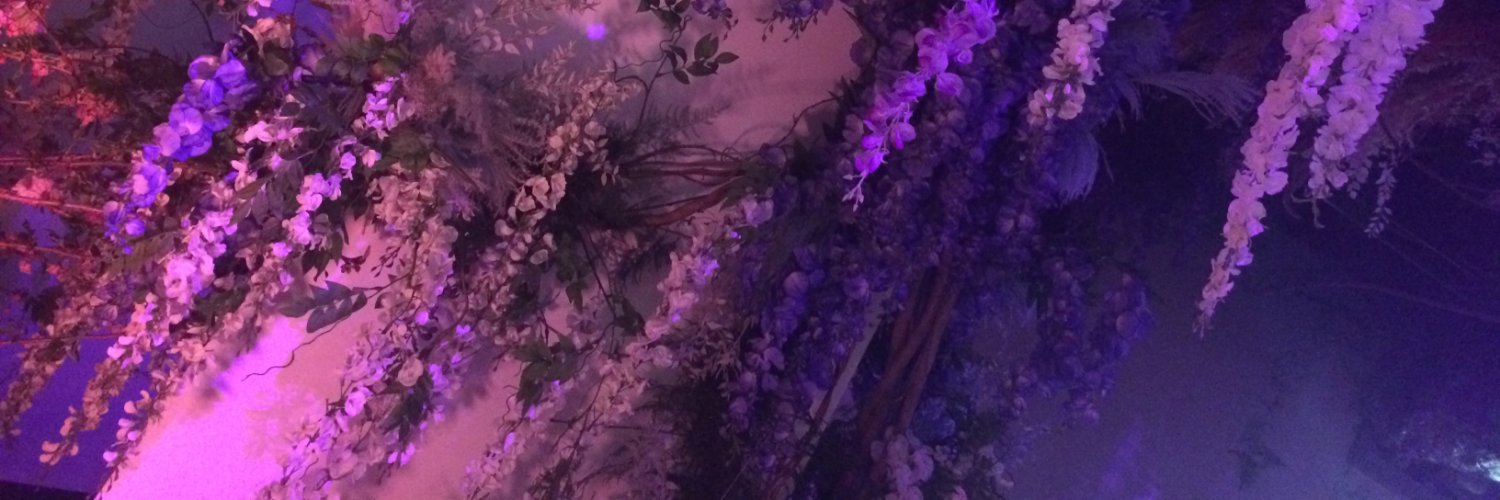 brianna olson banner