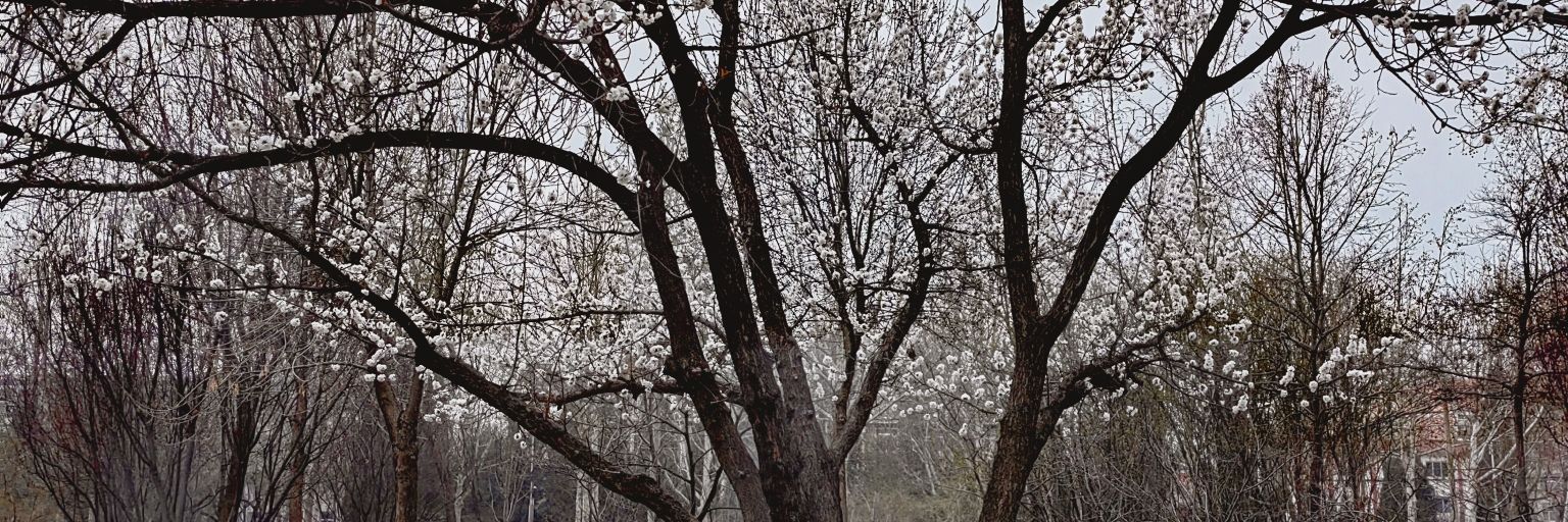 The1872633's profile banner image