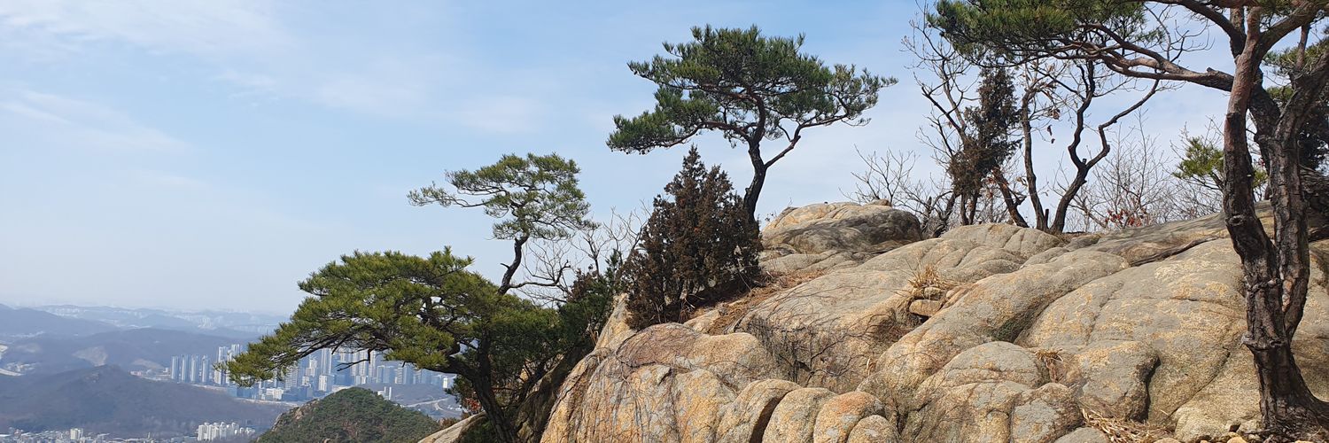 dondaeji's profile banner image