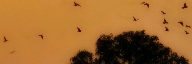 eight | sukugo ily banner