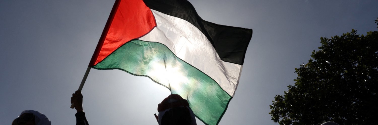 🇫🇷🇵🇸 banner