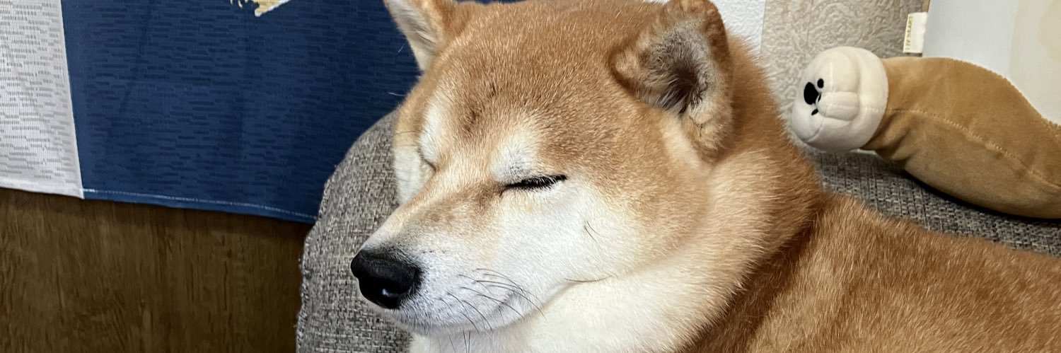 sekaiitiii's profile banner image
