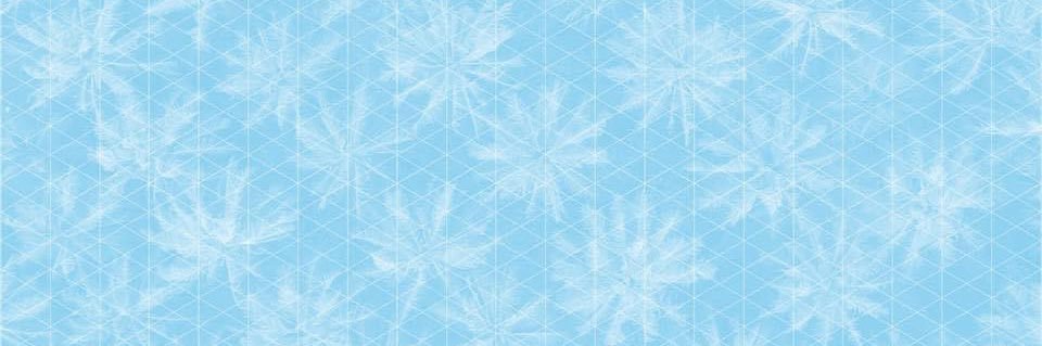 The Democrats banner