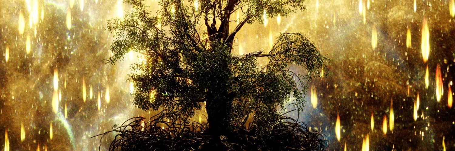 evgenyq's profile banner image