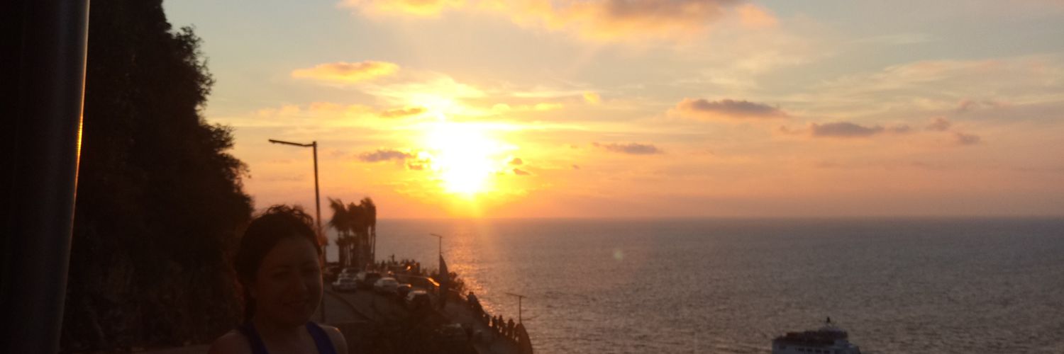 itsvirip's profile banner image