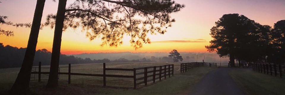 Holly Springs XC banner