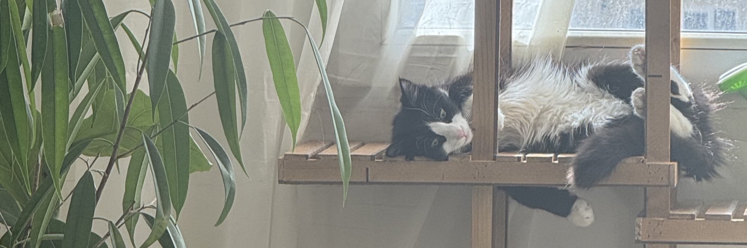 miow404's profile banner image