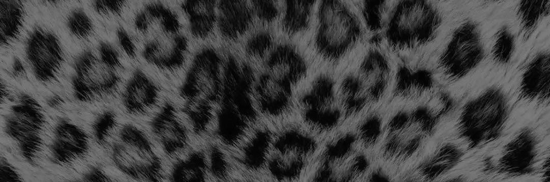 Pimpcess Jade 🎀 banner