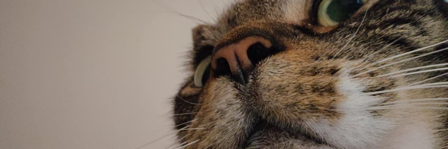 bethan314's profile banner image