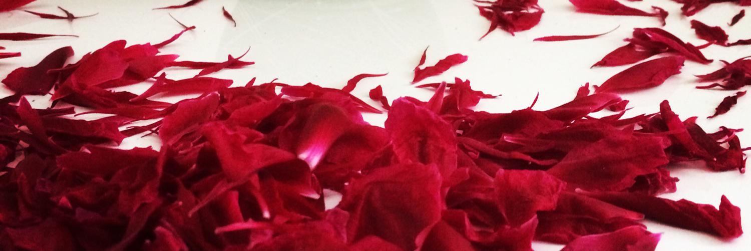 ydille's profile banner image