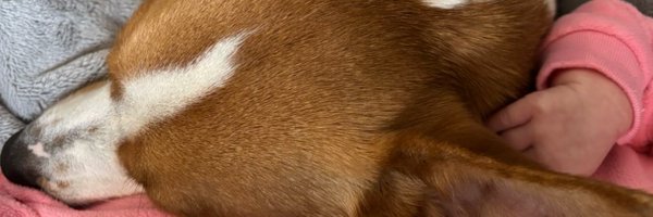 bdubya810 Profile Banner
