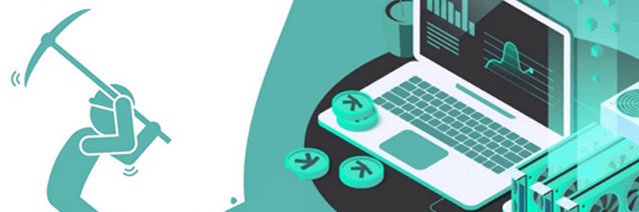 Crypto Plumber𐤊 banner