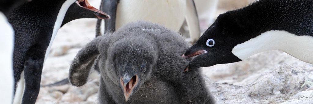 みーちゃん banner