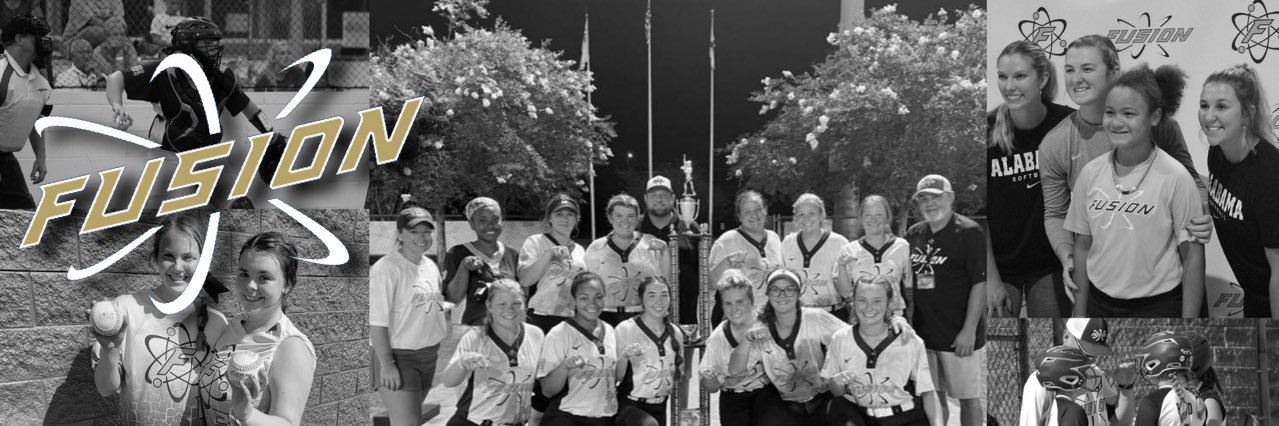 Fusion Fastpitch Organization banner