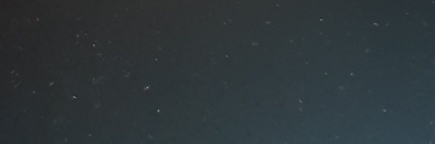 Febrynho banner