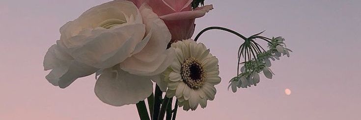 krqnanaa²⁶ banner