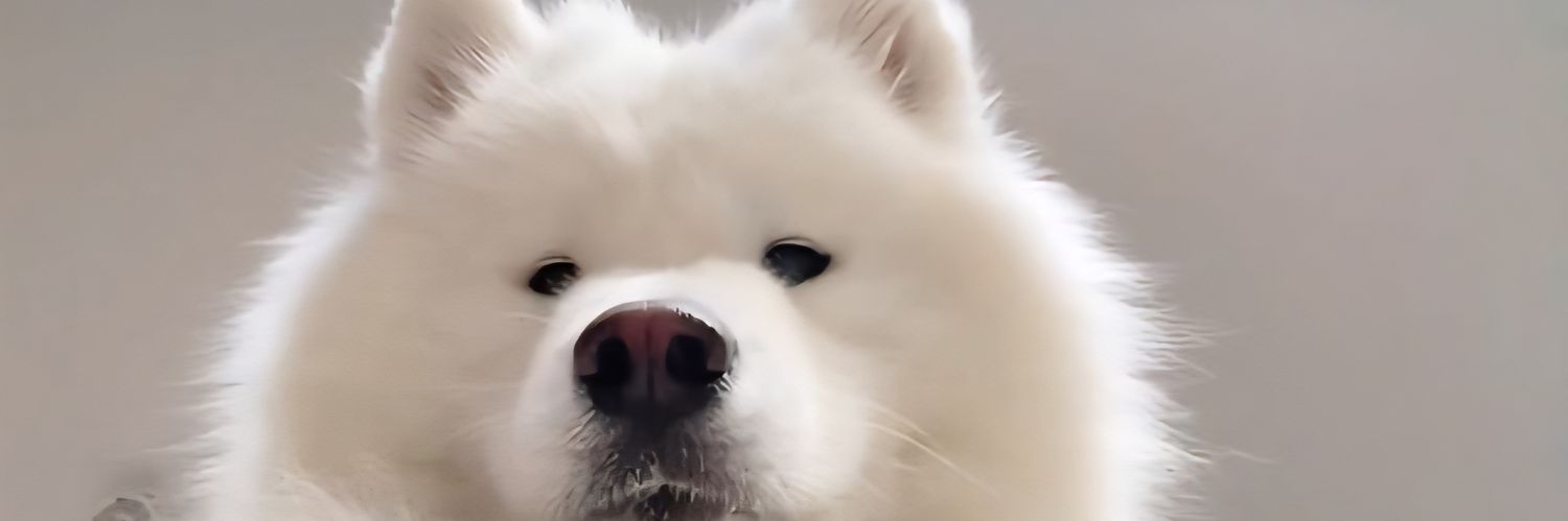 yedtran's profile banner image