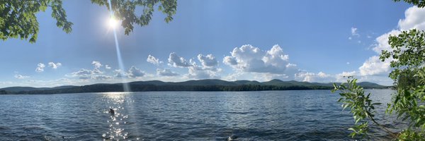 bdgPhD Profile Banner