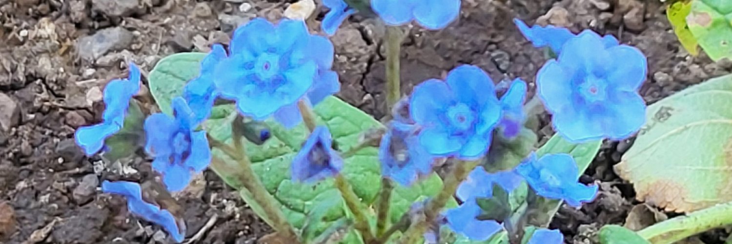 🌐 ItsSnowy 2.0 ❄️👾⬛️🍉⛏️🌐 banner