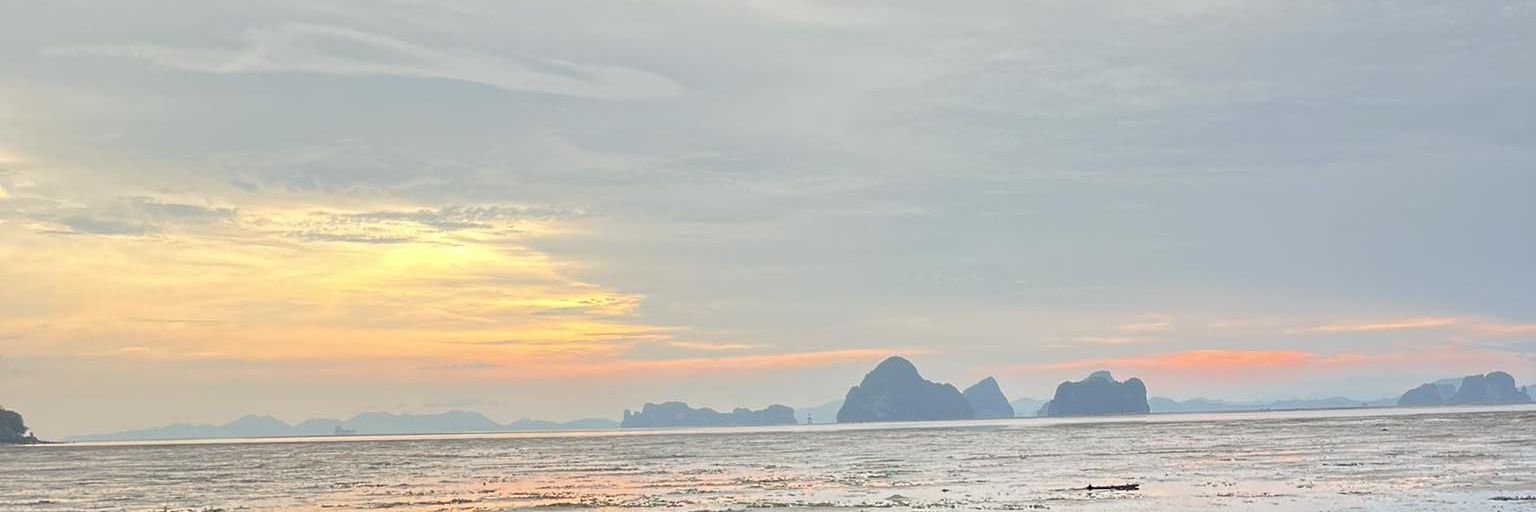 Wutti2002's profile banner image