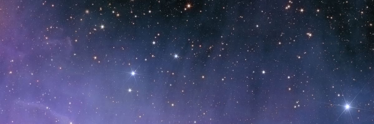 Capri’s Son banner