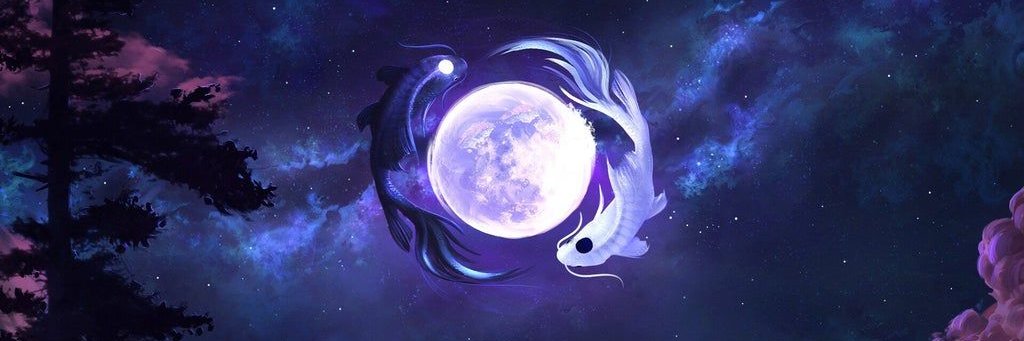 Spider_Vt's profile banner image
